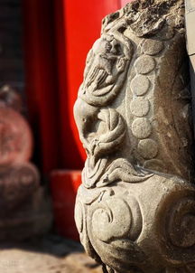 文化茶馆里的惊奇际遇